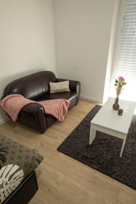 New Appartement Proche Gare Et Centre-Ville Colmar Luaran gambar