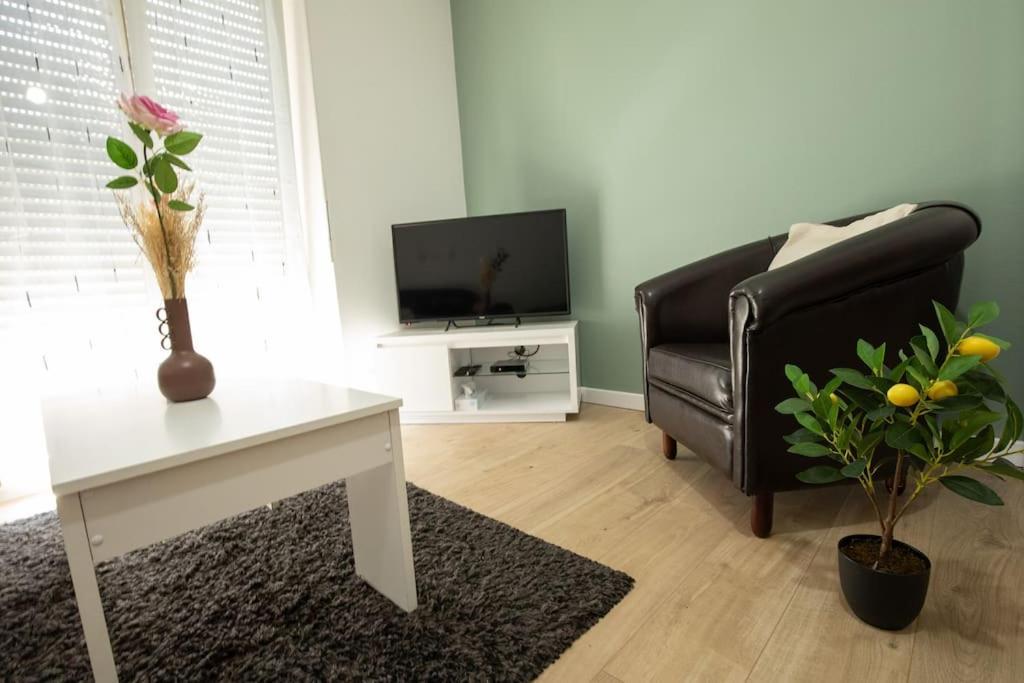 New Appartement Proche Gare Et Centre-Ville Colmar Luaran gambar