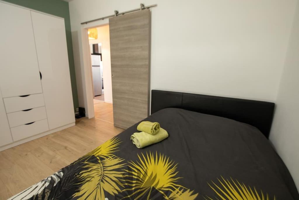 New Appartement Proche Gare Et Centre-Ville Colmar Luaran gambar